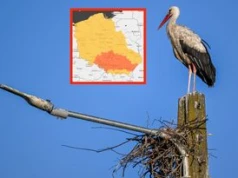 IMGW bije na alarm. Upały do 35 st. C i pomarańczowe alerty na południu kraju