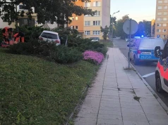 Tragedia o poranku. Kierowca wypadł z jezdni i uderzył w słupki chodnikowe. 43-latek zginął na miejscu