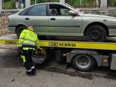 Zaginiony pies w kwiaciarni, auto zaparkowane na skrzyżowaniu, areszt dla uciążliwego bezdomnego. Interwencje straży miejskiej