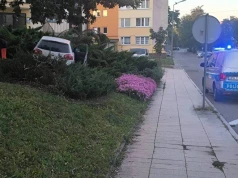 Tragiczne zdarzenie na ul. Warszawskiej w Ciechanowie