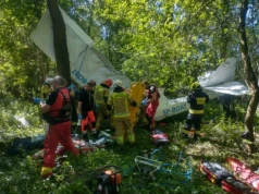 Samolot rozbił się w lesie niedaleko lądowiska. Pilot w szpitalu