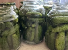 Wystarczy tylko ten dodatek. Ogórki kiszone będą chrupiące i aromatyczne