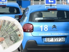 Tyle zarabiają instruktorzy nauki jazdy. Ta kwota może mocno zdziwić