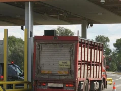 Zaostrzają zakaz transportu zwierząt w upały. Obowiązkowa klimatyzacja w naczepach?