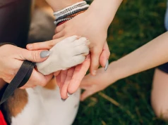 Sopotkowo zachęca do adopcji psów i kotów