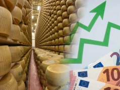 Włoski "bank sera" ma problem z upałami. Pożyczki zabezpiecza… parmezanem