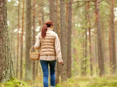Potrafi zaatakować wątrobę, płuca i nerki. Mało znana choroba może kryć się na leśnych owocach