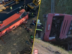 Ile godzin może jechać kierowca autokaru? Czy pasażerowie muszą zapinać pasy? Wyjaśniamy