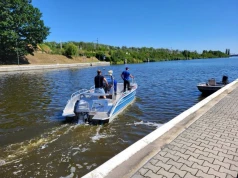 200 kg śniętych ryb na Kanale Gliwickim. Znów zawiniła złota alga