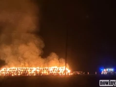 „Jesteśmy zdruzgotani”. To gospodarstwo Truskawki Potaczek straciło słomę w pożarze na Ocicach