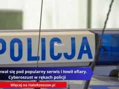 Podszywał się pod popularny serwis i łowił ofiary. Cyberoszust w rękach policji