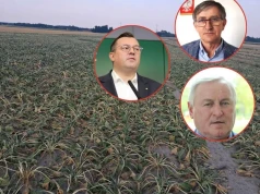 Rolnicy żądają stanu klęski żywiołowej. Minister: „To nic nie zmieni”