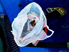 Pijany za kierownicą, marihuana w saszetce. 31-latek zatrzymany w Kamieńcu Ząbkowickim