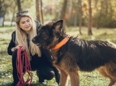 "Kochające domy" są często przekleństwem dla psa. "Miało być pięknie, ale urósł za duży"