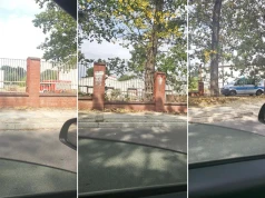 Interwencja strażaków przy ulicy Wałbrzyskiej w Strzegomiu