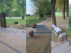 Bydło. Nocni wandale zdemolowali park i ścieżkę nad Uherką