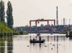 Śnięte ryby i złota alga w Kanale Gliwickim. Wojewoda wprowadził zakaz