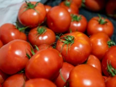 Ten błąd psuje smak pomidorów. Nigdy nie przechowuj ich w taki sposób