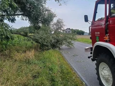 Interweniowali w Kotuni