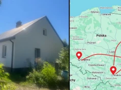 Pseudo hodowla kotów z Legnicy zajęła dom pod Łomżą