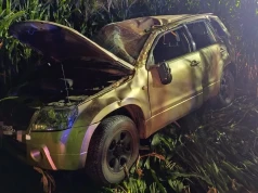 Miał blisko 3,5 promila i dachował w polu kukurydzy