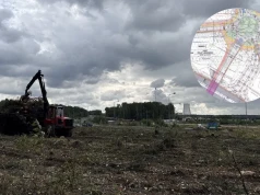 Wycinka drzew przy DK 79 w Jaworznie. Powstaną tu nowe ronda, wiadukty i drogi