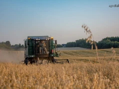 Ceny owsa 2026 po żniwach. Najwyższe stawki niższe o 70–80 zł/t