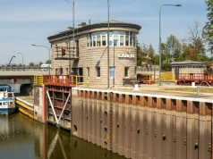 Ponad 1,2 tony śniętych ryb. Sytuacja na Kanale Gliwickim się pogarsza
