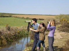 Pokolenie Z pokochało birdwatching. Smartfony zamieniają na lornetki