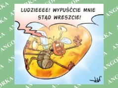 „Kosmita” sprzed 45 mln lat znaleziony w polskim bursztynie