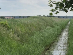 PIORiN kontroluje strefy ochronne. Tu łatwo o błąd