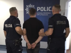 Zniszczył trzy auta, żartował z policjantów. Teraz grozi mu deportacja