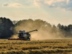 „Koszty wyższe niż zyski”. Rolnicy z powiatu konińskiego nie mają powodów do radości