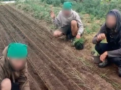 Życie w nyskiej sekcie