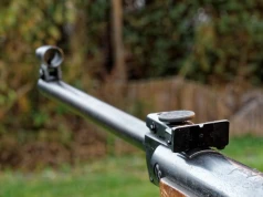 Strzelał do własnego psa z wiatrówki. Suczka nie przeżyła, 32-latkowi grozi 5 lat więzienia
