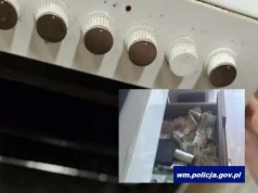 Narkotykowy biznes pod piekarnikiem. Policja przejęła marihuanę i 20 tysięcy złotych