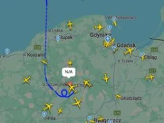 Niespodziewany gość. Wleciał nad Polskę od północy