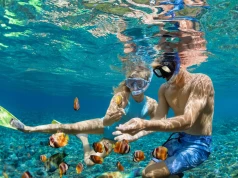 Szarm el-Szejk z aquaparkiem i strefą spa 🌊💆 Tydzień w 4* Regency Plaza za 2879 PLN