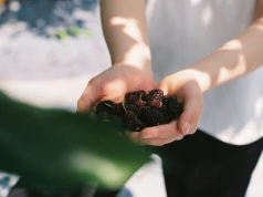 Ten zapomniany owoc jedli prosto z krzaka nasi rodzice. Wspiera pracę serca