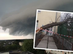 Gwałtowne burze nad Opolszczyzną: Dziesiątki połamanych drzew i zniszczone auta