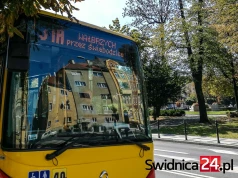Świebodzice nie czekają na Świdnicę i odpowiadają na ruch Wałbrzycha. Będzie reaktywacja „połowy” linii 31?