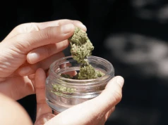 Opakowania z konopi mogą zastąpić plastik?