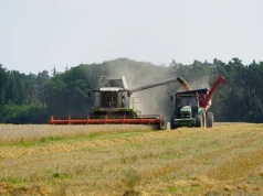 Rzepak w górę, zboże stoi w miejscu