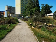 Drzewa pod budowę pętli wycięte. Mogą pojawiać się utrudnienia w ruchu