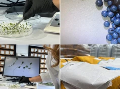 Technologia 3S w praktyce. Jak powstaje materiał siewny i dlaczego liczy się każdy etap produkcji?