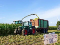 Ile kosztuje kukurydza na pniu? Ceny dochodzą do 10 tys. zł/ha