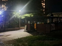 Gromada szczurów w zabytkowym centrum Świdnicy, obok ośrodka zdrowia i skweru