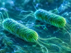 Oporna Pseudomonas aeruginosa ewoluuje w drogach oddechowych chorego na POChP