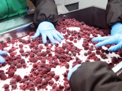 Polska chłodnia na granicy upadłości po 30 latach. Trwa strajk głodowy