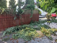 Zerwane dachy, powalone drzewa i brak prądu. Niszczycielskie burze przeszły przez Polskę